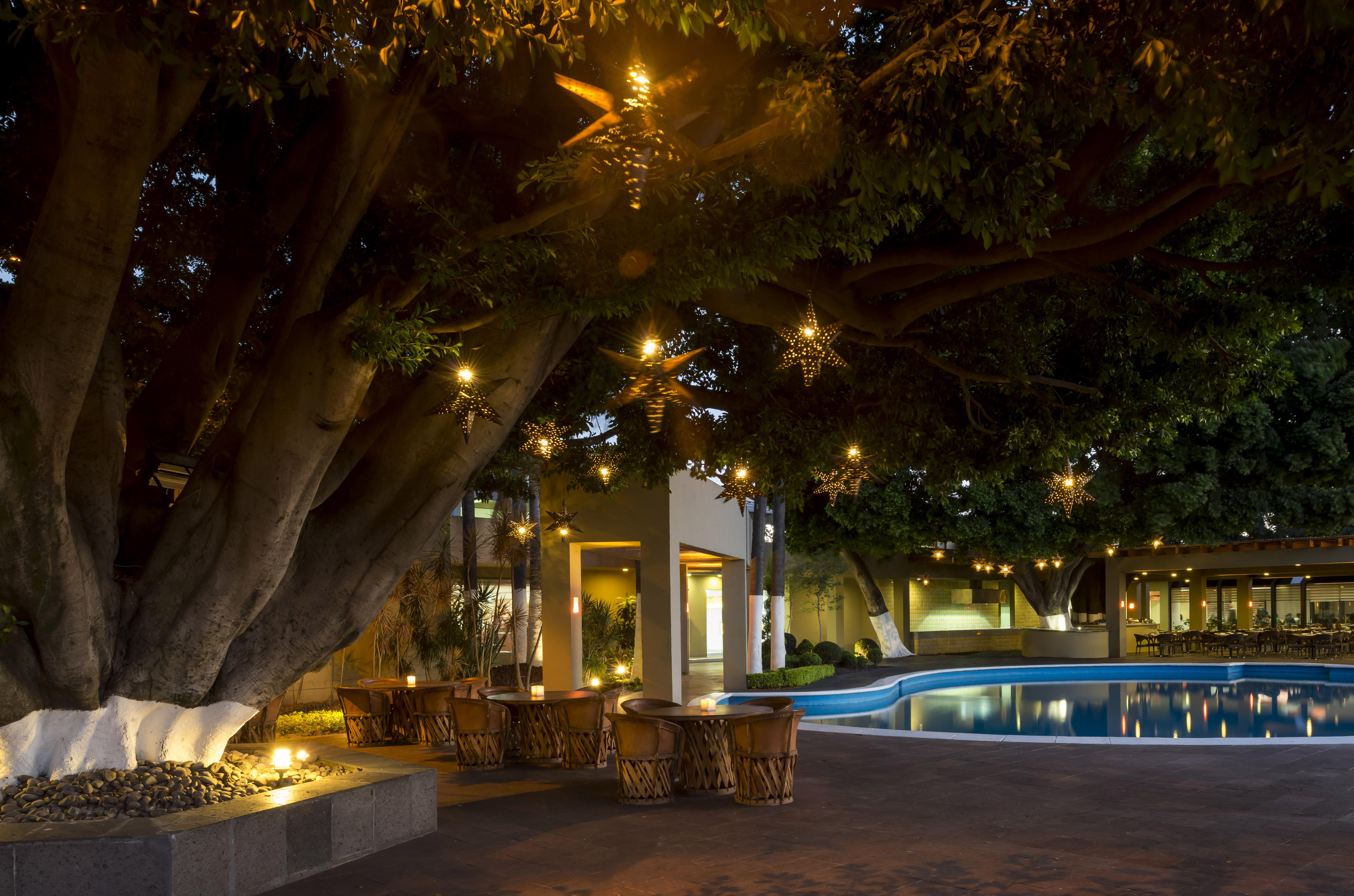 ホテル カミノ レアル グアダラハラ サポパン エクステリア 写真 The Banyan Tree Hotel